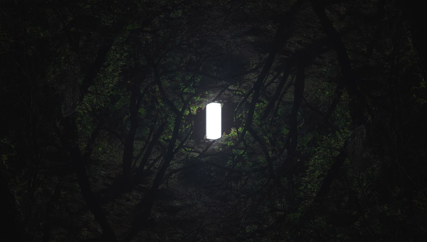 Lodestar — in the forest