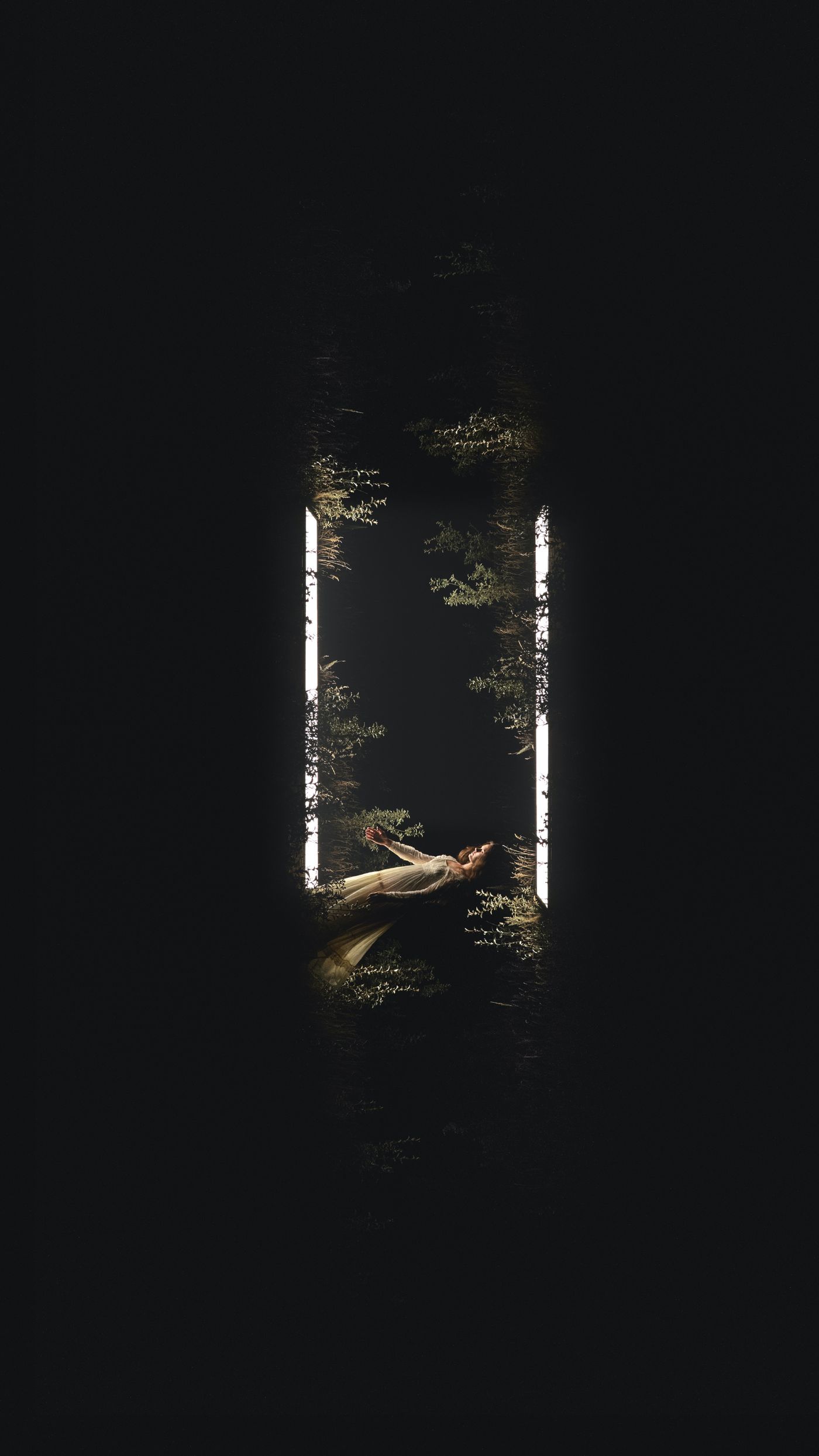 Lodestar — among the birches