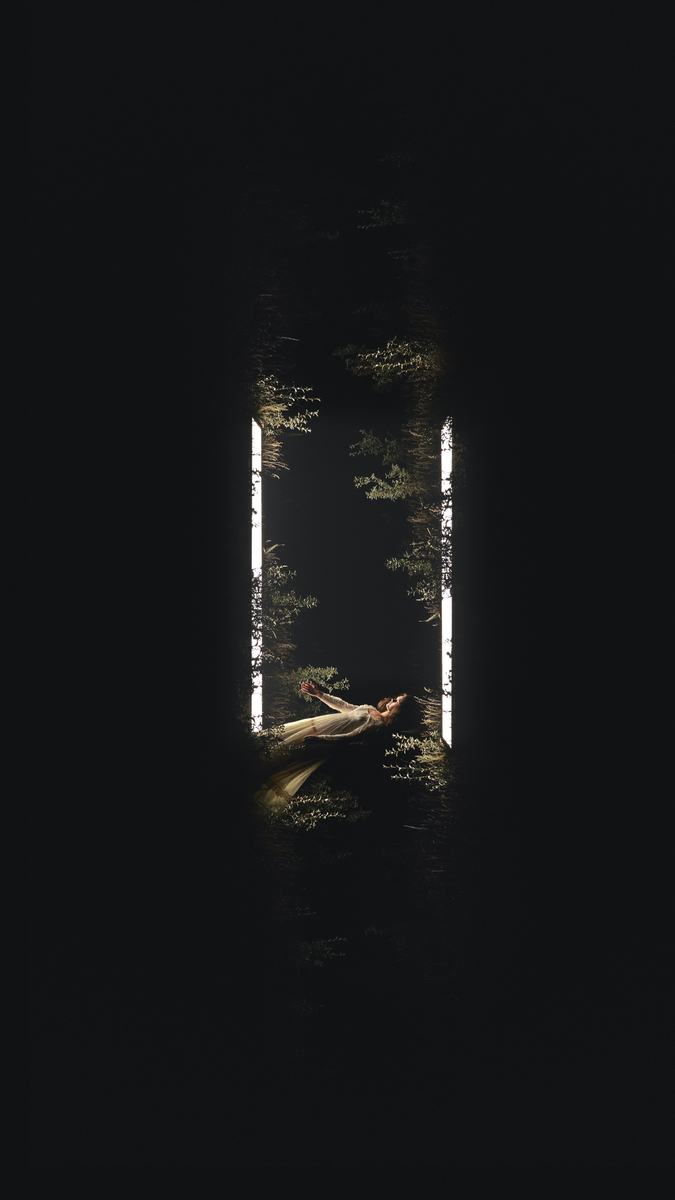 The wall of light among birches