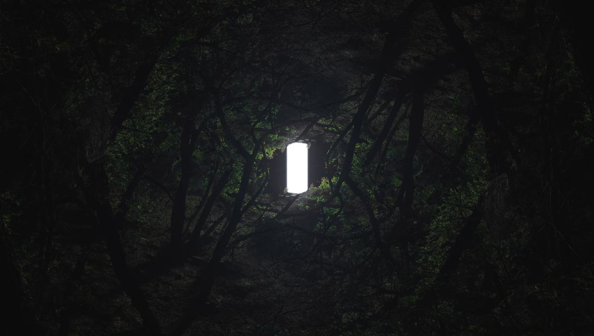 The wall of light in a forest